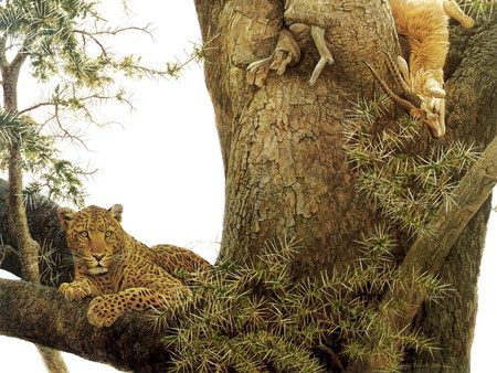 Leopard and Gazelle Kill - tree, leopard, gazelle, art