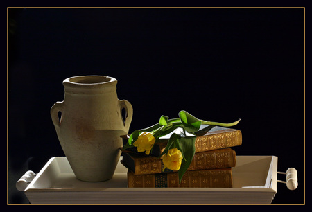 Still Life - pot, flowers, tulips, yellow, tablett, beautiful, books