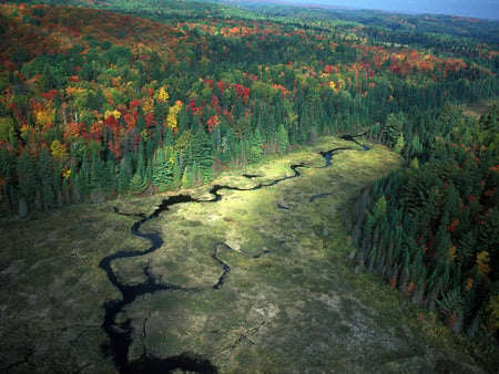 View from the top - nature, autumn, amazing, landscape, forest, beautiful, river