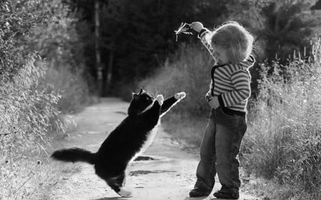 play with me - child, funny, cute, nice, kitten, lovely, cat