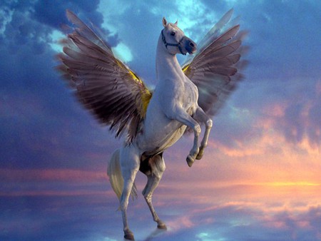 a pega of the sky - fantasy, winged, wings, pegasus, horse, other