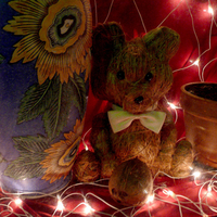 Teddy, The Xmas Bear