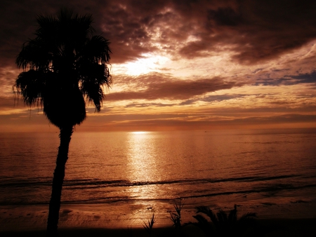 Sunset at Laguna - ca, scenery, beach, dark, fluffy, red, clouds, socal, water, beautiful, scenic, tree, palm, laguna, souther, sunset, california, waves, palmtree