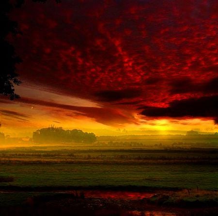 Red sky - red, sunrise, field, morning, sky