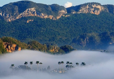 Foggy-Morning-Vinales-Cuba - foggy, morning, cool, picture, vinales, cuba