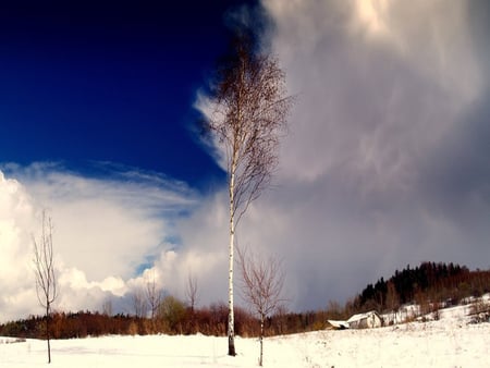 Sapphire Sky - clouds, sapphire, winter, blue, snow, sky