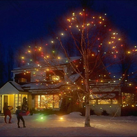 New year tree