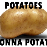 Potato