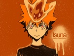 reborn tsuna