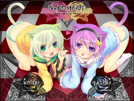 Satori & Koishi Neko - touhou, satori, koishi, sistern, cute, neko love, eye