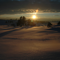 Winter Sunset