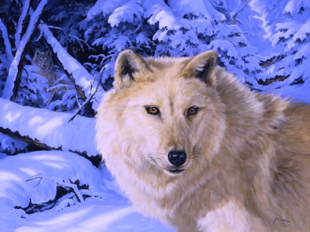 Winter wild - wolf, winter, white and grey, wild, trees, snow