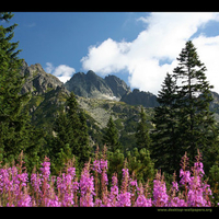 High Tatras Mountains