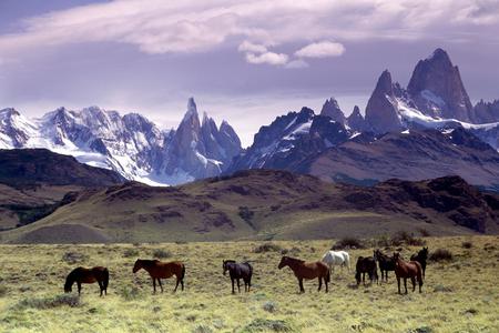 Horses In Mountains - sky, horse, nature, mountain