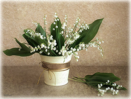 still life - nice, photography, bouquet, elegant, gentle, still life, vase, cool, beautiful, flowers, photo, flower, harmony