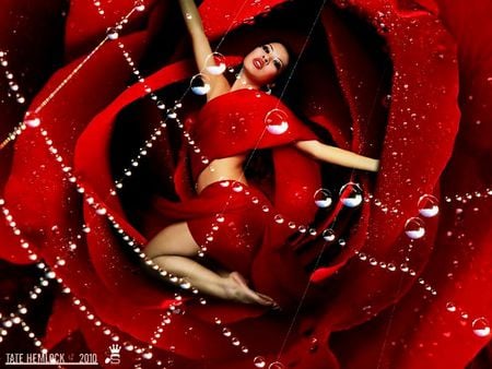 Rose love - woman, red, rose, catch, love, flower, prison