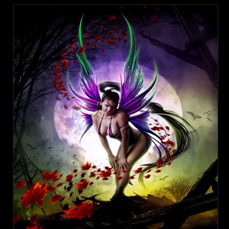 Beautiful fairy - roses, beautiful, wings, colorful, fairy