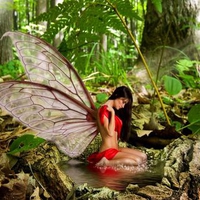 Fantastic forest fairy