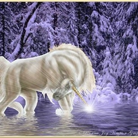 winter fantasy -2