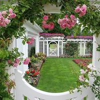 garden rose window