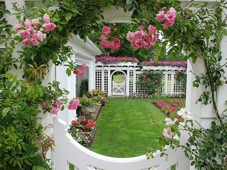 garden rose window - fence, window, pink, wall, rose, garden, botanical