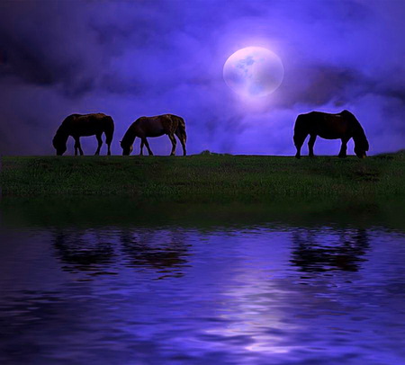 Moonlight graze - horses, grazing, reflection, blue, night, water, moonlight