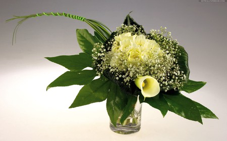 yellow flowers vase for my friend Anne - greens, flowers, glass vase, white, water, yellow, beautiful