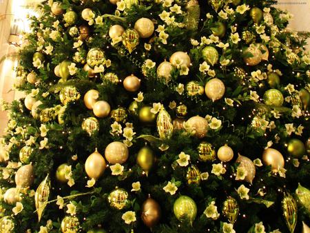 Christmas Tree - decorated, big, christmas tree, lightining, beautiful, gold balls, yellow flowers, reflection