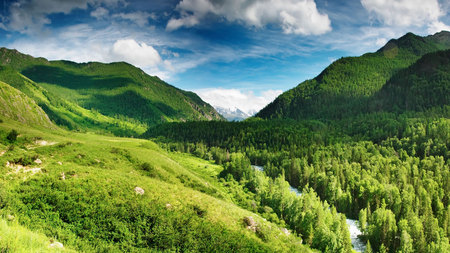 Lush Green Landscape - nature, sky, landscape, trees, forest, mountains