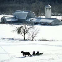 Sleigh ride