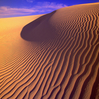 Dunes at Sunset