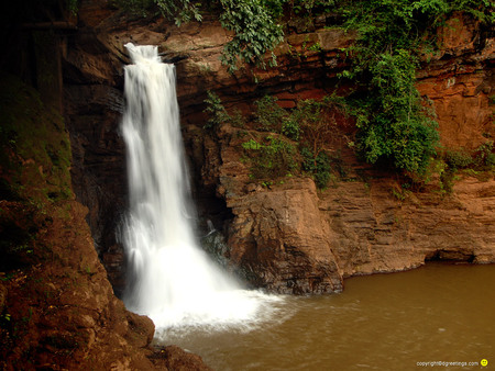 Rainforest Waterfall - cliff, water, cascade, plants, rocks, fall, green, pool, shrubs