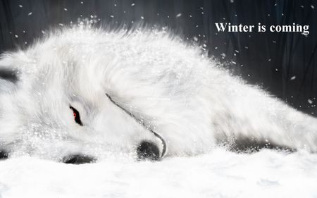 Winter_is_Coming - animal, winter, red, eyes, dog