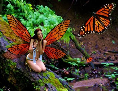 World of butterlys - woman, butterfly, fantasy, fly