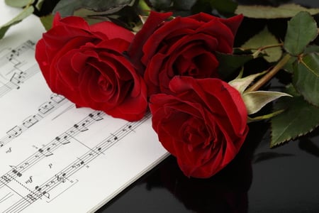 roses - roses, heart, romance, fallen, photo, flowers, music, elegance, red, musical notes, nice, notes, beautiful, photography, beauty, lovely, cool, love, flower, petals, bouquet, harmony, sonnet, black, nature, rose, song