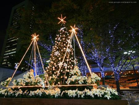 Christmas Light - trees, fullcolour, christmas tree, lightining, beautiful, decorations, city, night