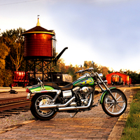 Green Hog