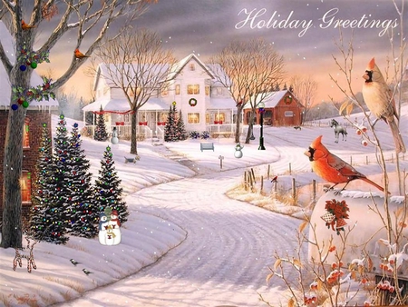 Christmas avenue - snow, cardinal, winter, holiday, bird, christmas