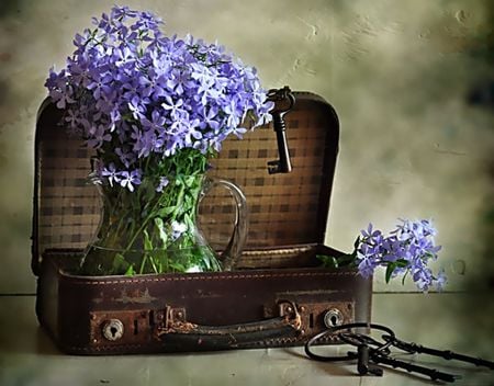 Suitcase of dreams - purple, pitcher, suitcase, keys, green, flowers, old, still life