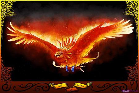 Phoenix Of Flames - flames, phoenix, myth, bird