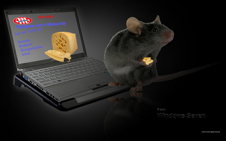 mouse and cheese - love, laptop, mouse, 1280x800, notebook, cheese