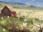 Springtime farm