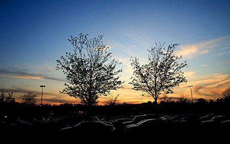 Lot at night - lot, cars, night, parking