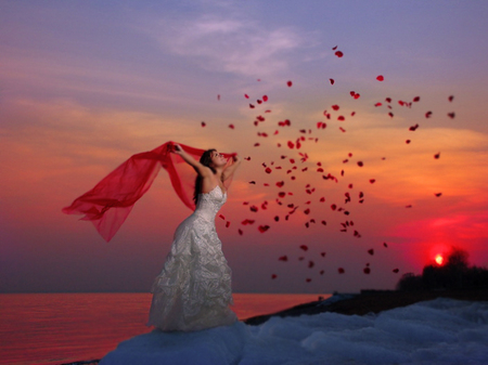 Red petals - sunset, girl, petals, red