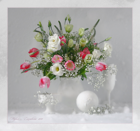 still life - vase, elegant, beautiful, photography, photo, cool, flower, pink, still life, gentle, bouquet, harmony, flowers, tulips, white