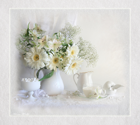 still life - milk, elegant, photo, gentle, flowers, gerberas, fruit, beautiful, photography, cool, still life, flower, bouquet, drink, harmony, white, apple, cup