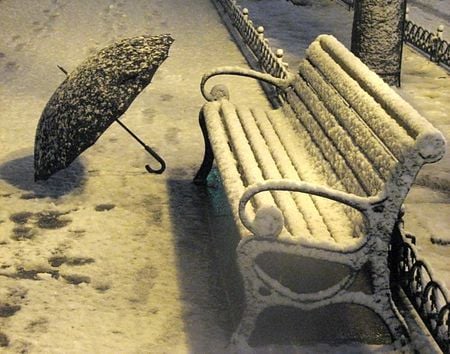 umbrella and bench - white, umbrella, snow, night, winter, bench, black