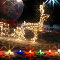 Rudolph in lights