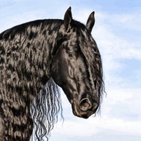 Friesian