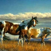 Paint Horses